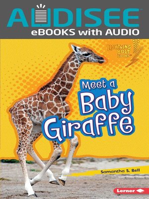cover image of Meet a Baby Giraffe